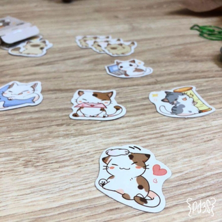 Par de 3 Studio Shop stickers gatos